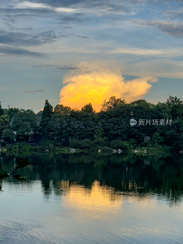 夕阳西下的天空衬托下树木的轮廓