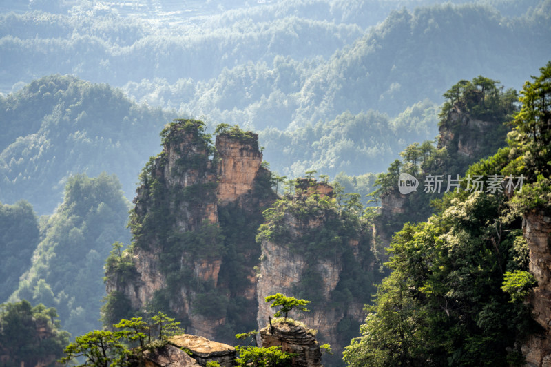 中国湖南张家界景区奇特山峰与茂密森林