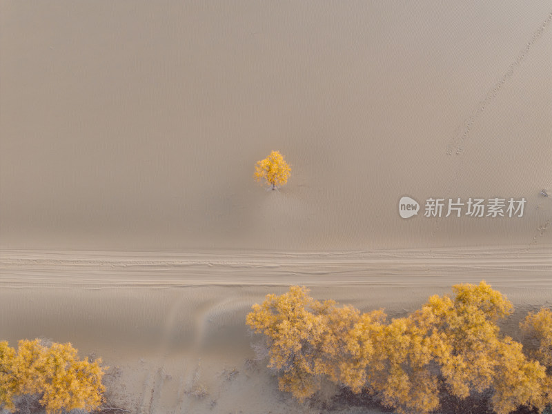 新疆南疆巴州塔克拉玛干沙漠沙丘航拍