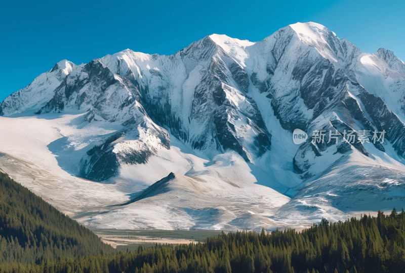 雪山高原草原森林风景