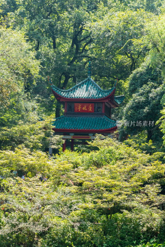 长沙岳麓山爱晚亭