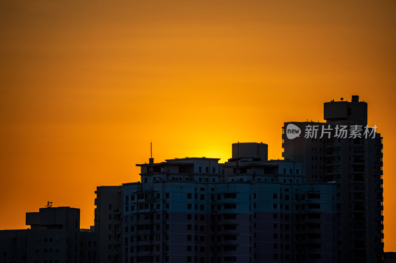 黄昏夕阳青岛小麦岛公园自然风光与城市景观