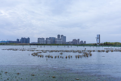 武汉江夏中央大公园风景