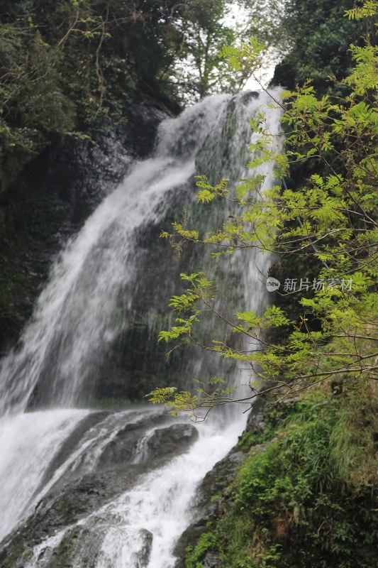 瀑布 溪流 山林