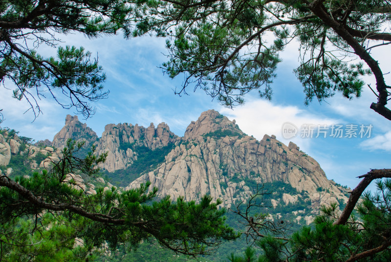 青岛崂山仰口，透过重叠的树木看远处山峰