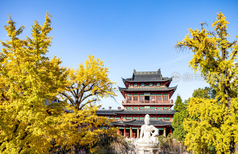 南京毗庐寺秋天屋顶视角下的城市风光与绿植