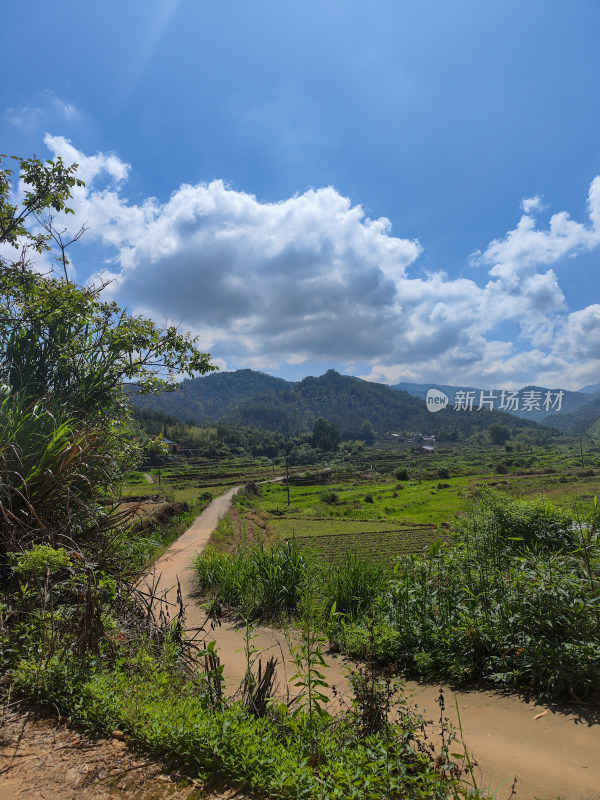 乡村小路旁的自然风光全景