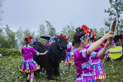 云和梯田开犁节现场