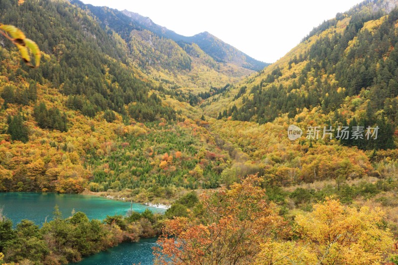 秋天九寨沟的山水