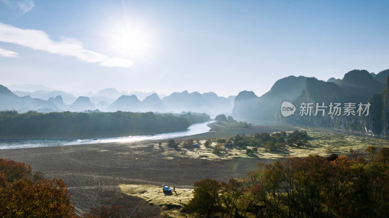 秋天早晨阳光下桂林漓江河滩上的乌桕树林