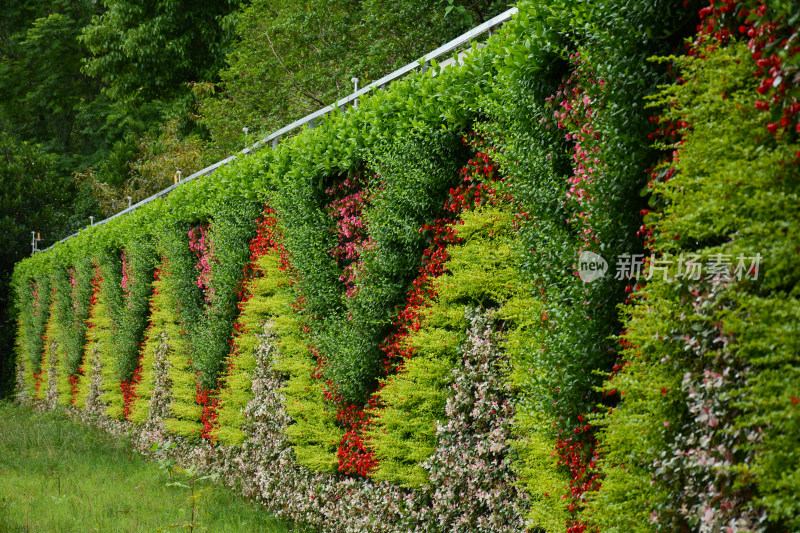 多彩绿植墙