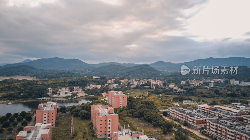 仰恩大学