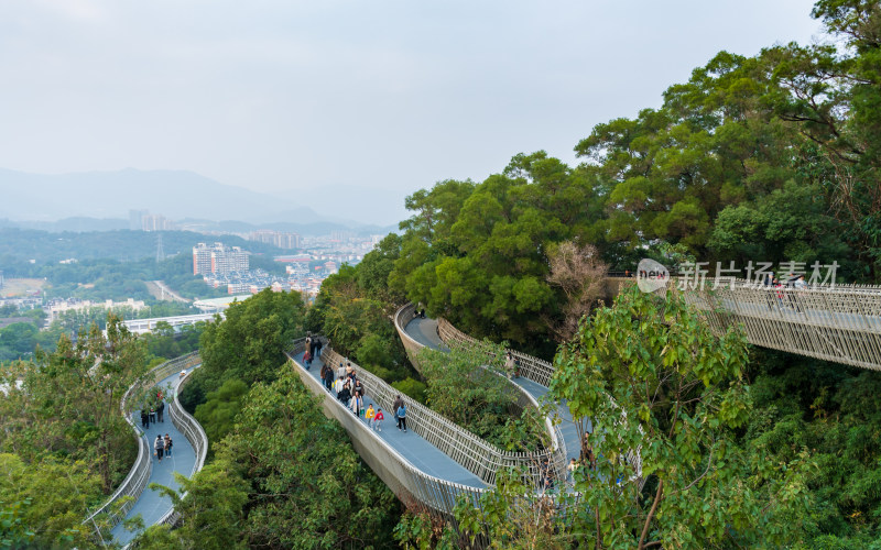 福州福道山林中蜿蜒的观景步道