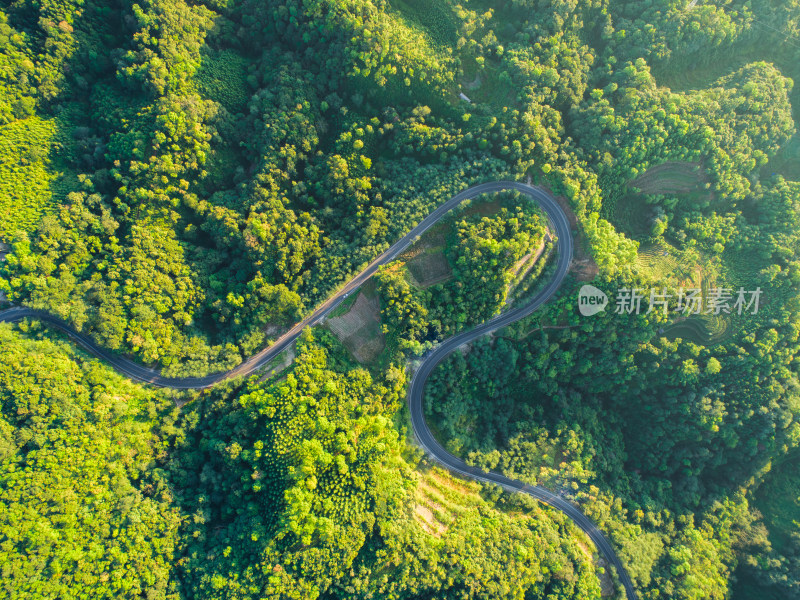 航拍山林间蜿蜒曲折的公路