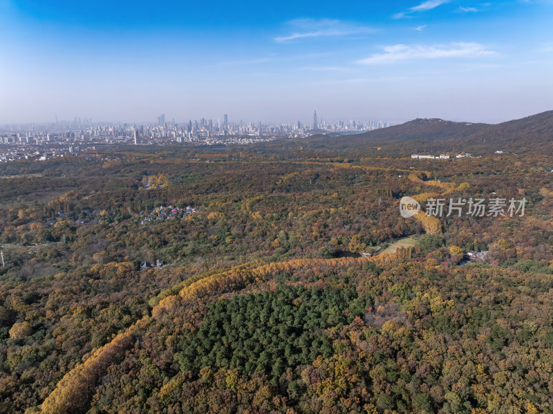 江苏南京中山陵灵山风景区音乐台秋色航拍