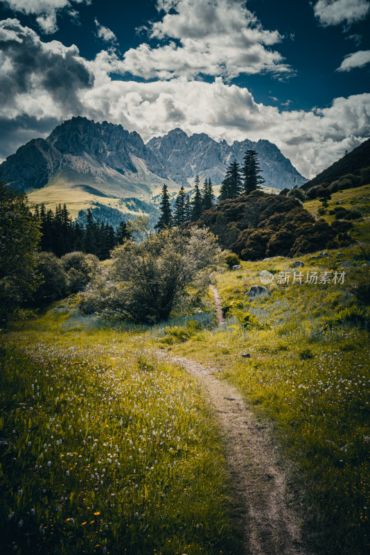 山谷花海与远山