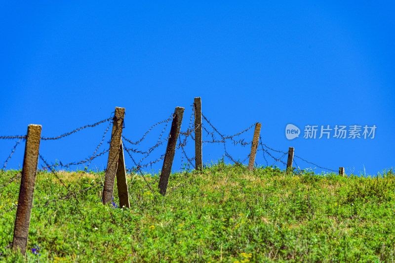 夏季蓝天白云绿色高山草甸群山大气风光