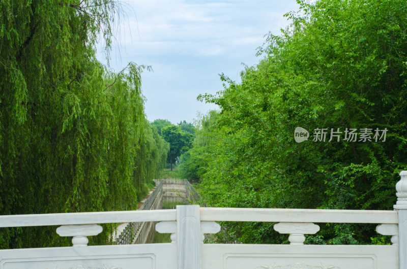 石桥上看河堤风景