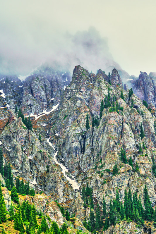 郁郁葱葱的天山