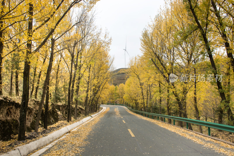 秋天的乡村公路