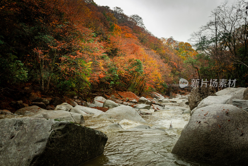 光雾山红叶彩林溪流河谷山谷漂亮壮观