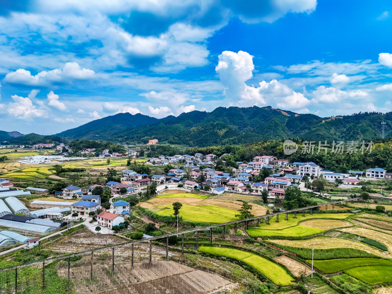 秋收农田航拍图