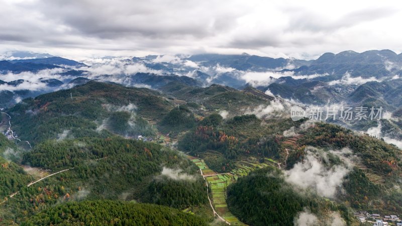 重庆酉阳：白果树边的美景