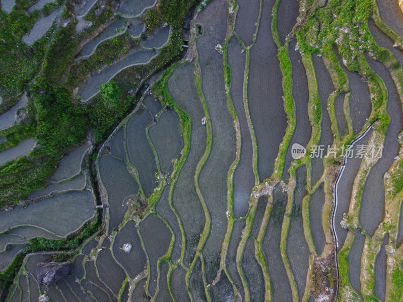 农村梯田风光