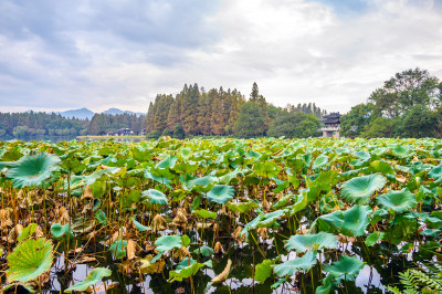 立冬杭州西湖日出朝霞水面倒影