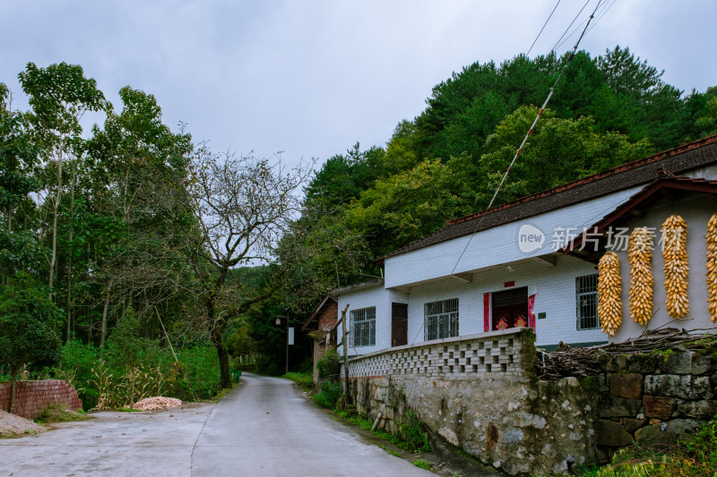 汉中留坝火烧店镇秦岭深处的山中乡村小路