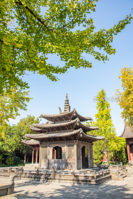 浙江杭州西湖畔钱王祠秋景