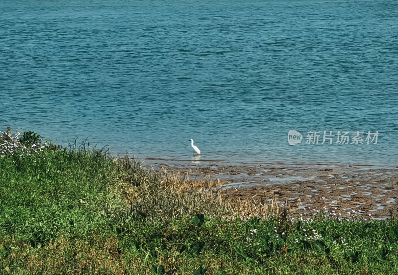 佛山市东平河江景半月岛湿地公园