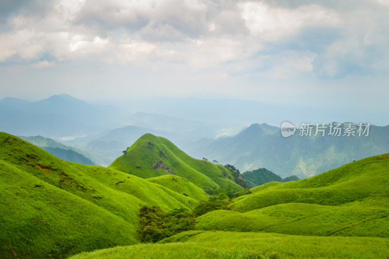 江西武功山高山草甸