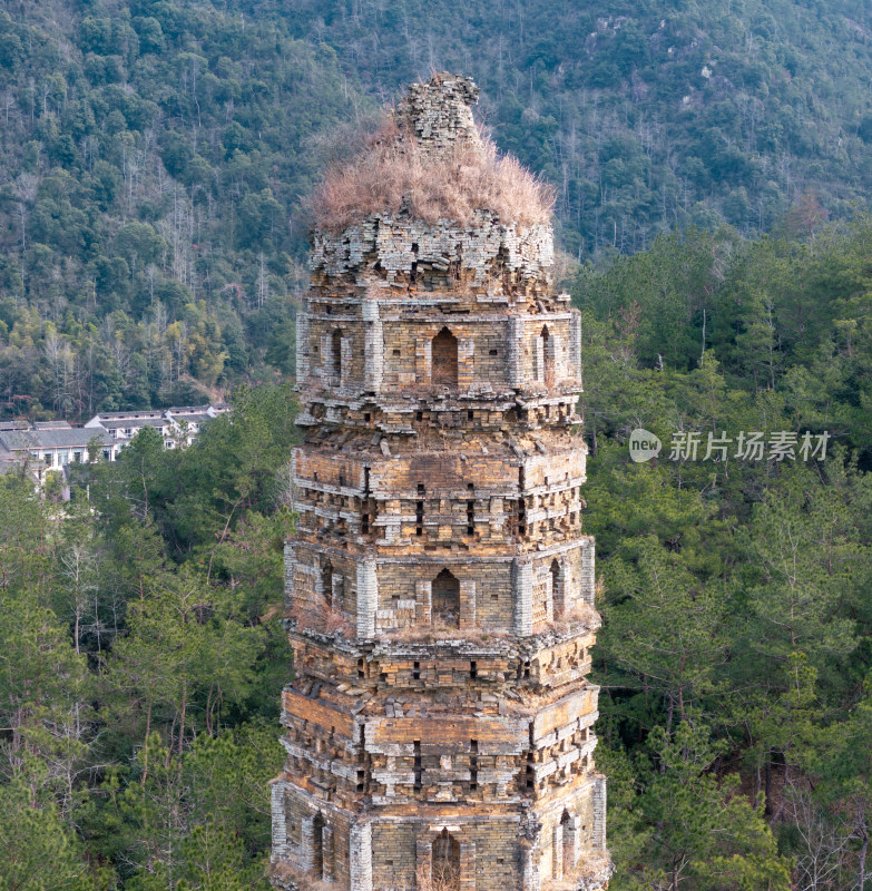 山林中饱经沧桑的古塔全貌