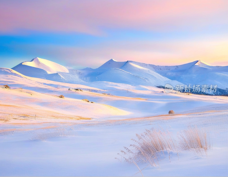 高山雪地