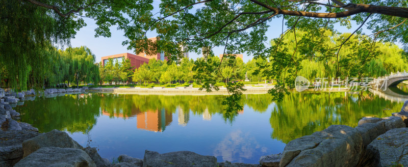 大学校园风景