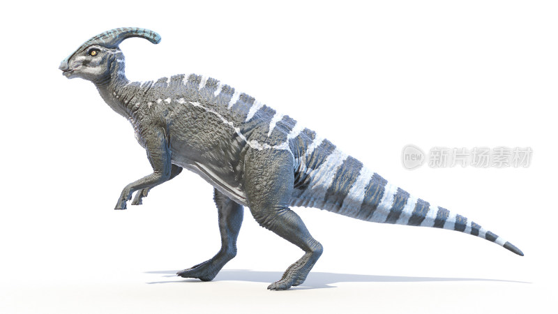 恐龙 侏罗纪 古生物学 爬行动物 白垩纪