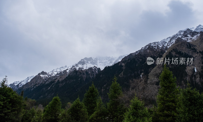 新疆伊犁夏塔雪山森林绝美风光