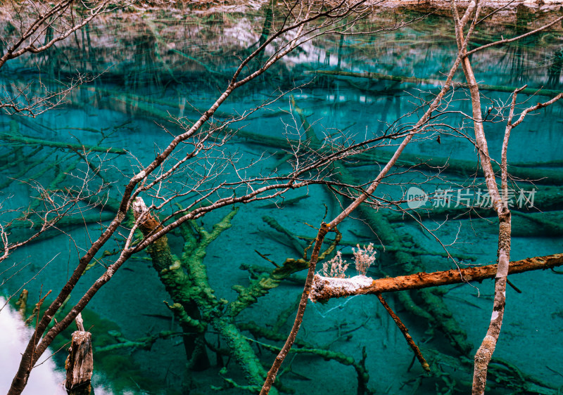 川西九寨沟冬季雪山碧蓝海子唯美