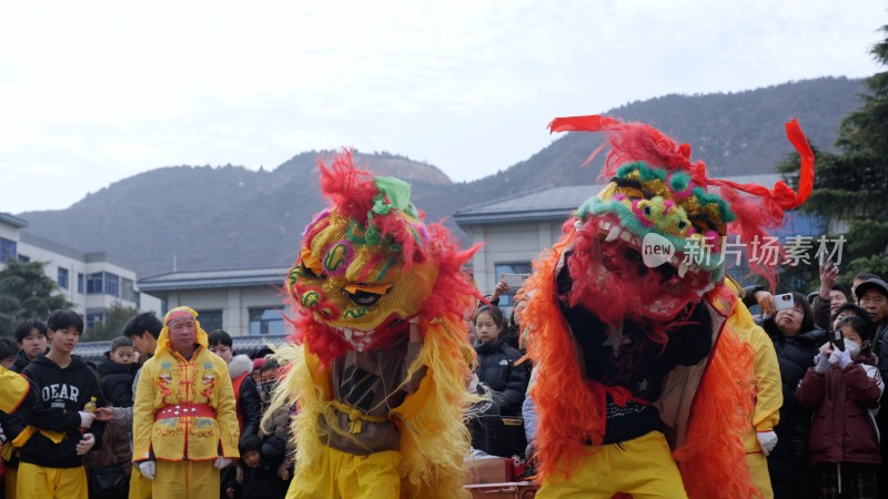 节日舞狮庆祝狮舞