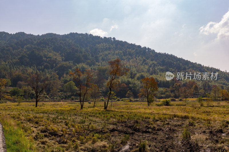 秋日山野田园风光