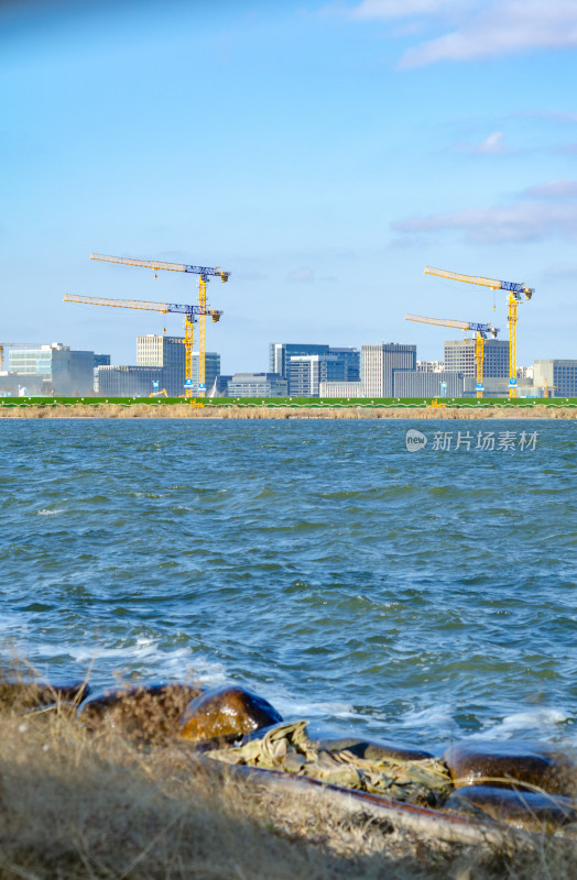 上海滴水湖水边的城市建筑工地远景