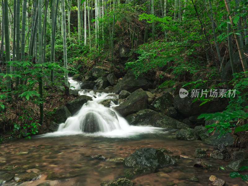 雨季安吉山间竹林水流瀑布