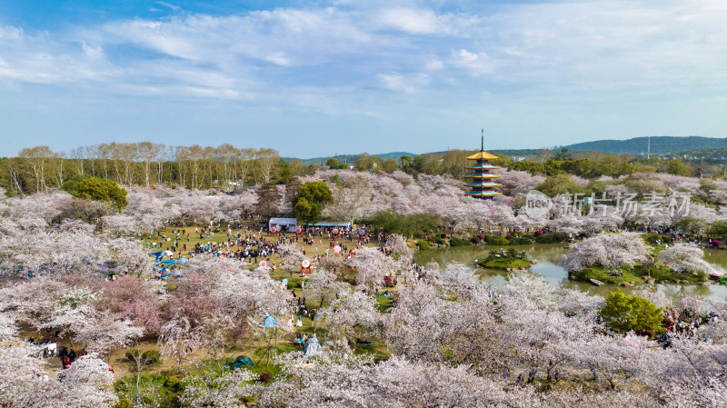 湖北武汉东湖樱花园里的五重塔远景航拍