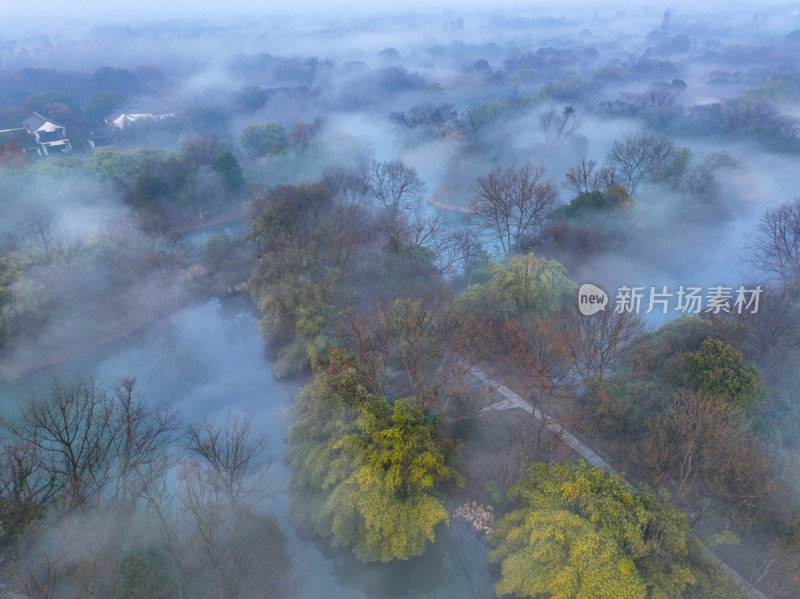 晨雾下的杭州西溪湿地国家公园