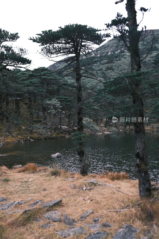 山林间的静谧湖泊风景