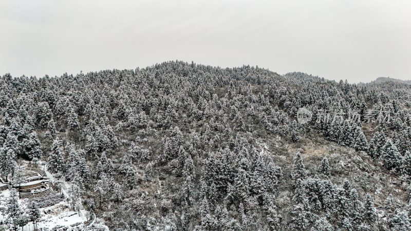 重庆酉阳：大雪纷飞赏雪忙