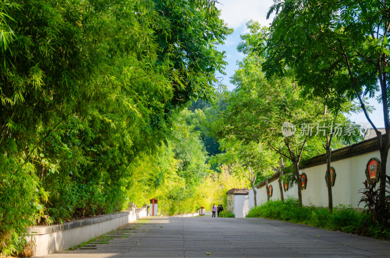 亚洲中国福建省福州市九仙山竹林小道