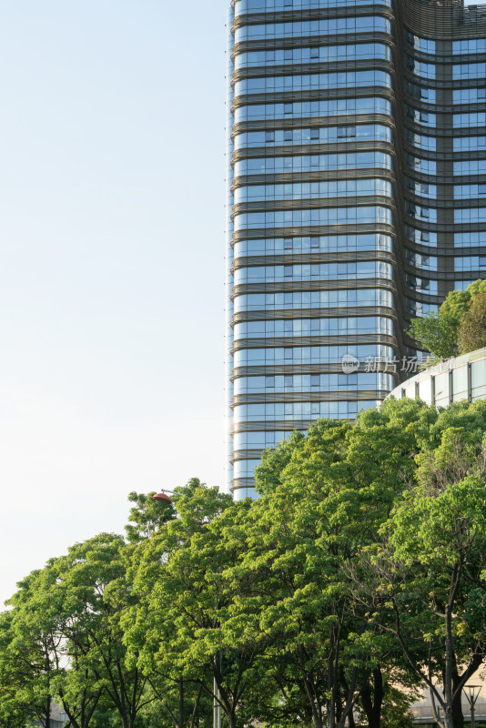 城市高楼与天空背景