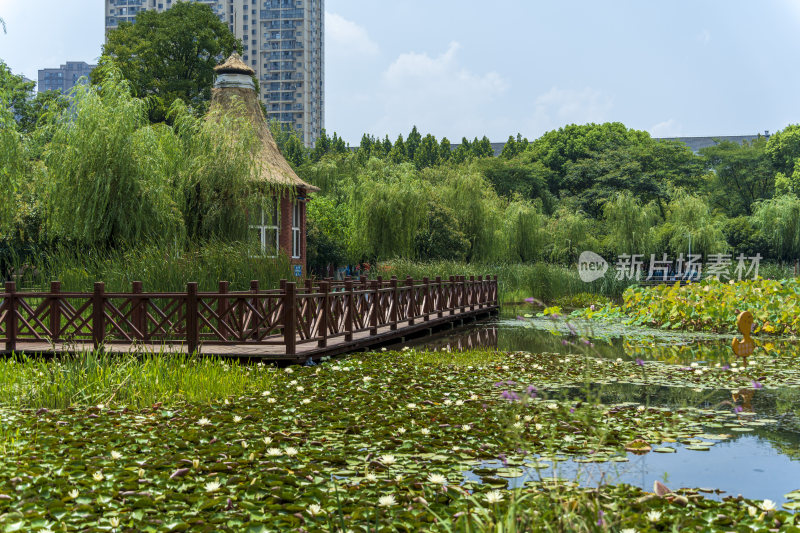 武汉关山荷兰风情园风景